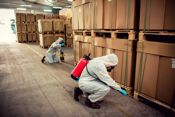 Best Termite Control Services  in Wollochet, WA