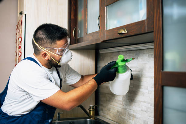 Best Ant Control Services  in Wollochet, WA