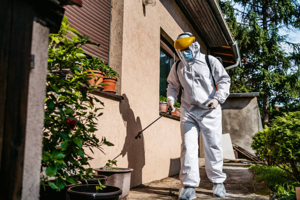 Best Affordable Pest Control Services  in Wollochet, WA