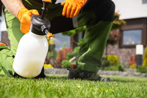 Best Mosquito Control Services  in Wollochet, WA