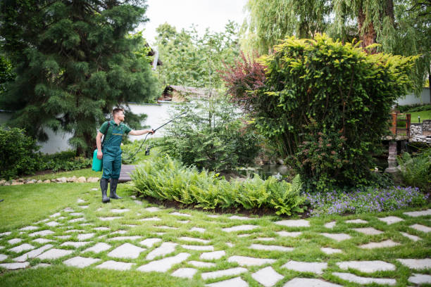 Best Pest Inspection Near Me  in Wollochet, WA