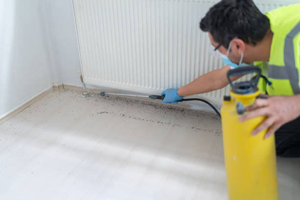 Reliable Wollochet, WA Pest Control Solutions