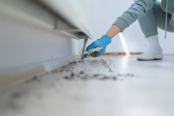 Best Pest Prevention Services  in Wollochet, WA