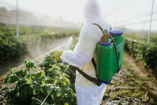 Best Emergency Pest Control  in Wollochet, WA
